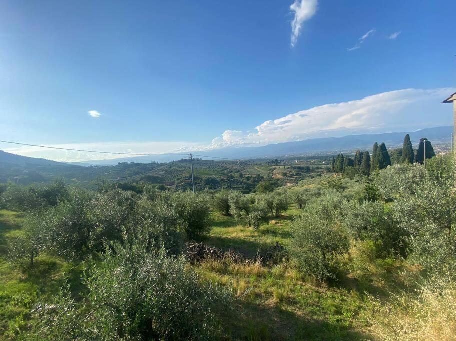 Montorio La Vecchia Bottega别墅 外观 照片